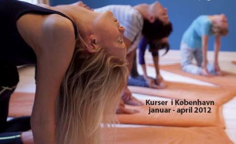 Skandinavisk Yoga og Meditationsskole